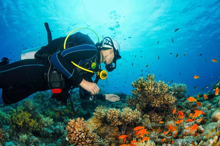 Diving in the GCC