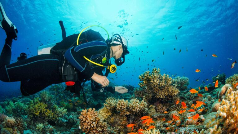 Diving in the GCC