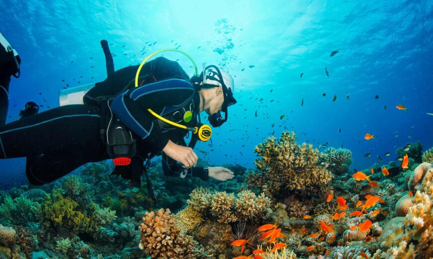 Diving in the GCC
